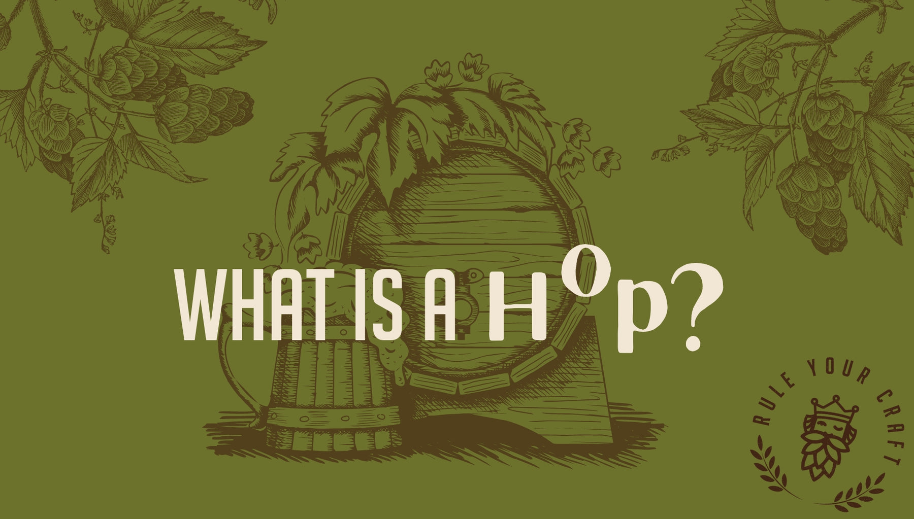 What is a Hop? Blog