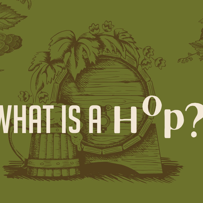 What is a Hop? Blog
