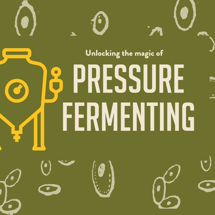 What is pressure fermenting blog post