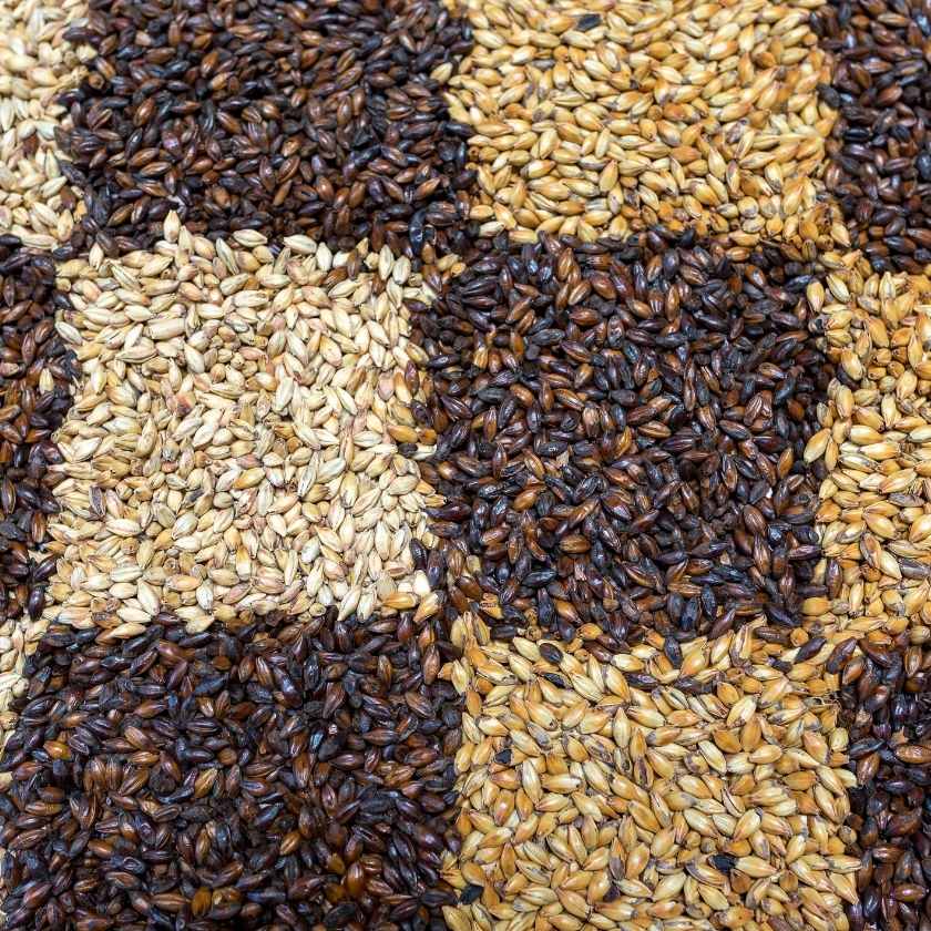 Different types of grain displayed in an alternating pattern