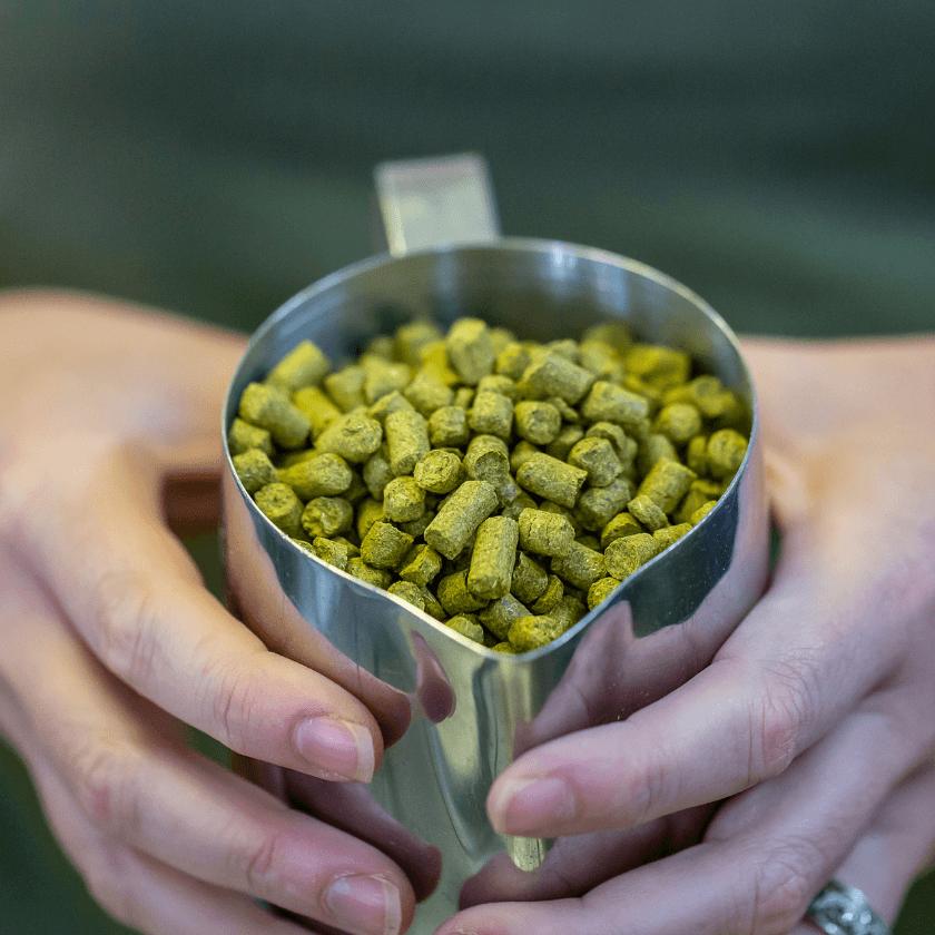 Brew Kings Hops Store Collection Image Green Hop Pellets in Stainless Steel Jug