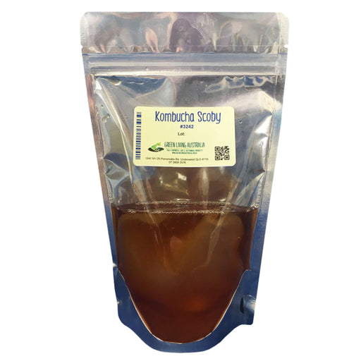 Green Living Kombucha Scoby - buy online at Noble Barons.